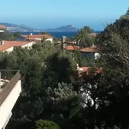 Apartment T1 Rez De Jardin Avec Grande Terrasse - St Aygulf
